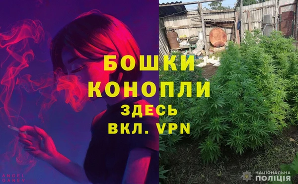 амф Гусев