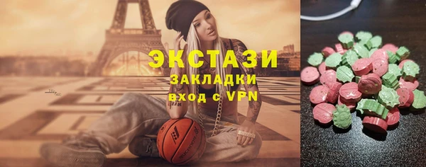 амф Гусев