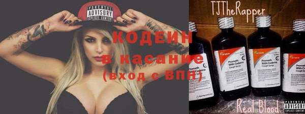 амф Гусев