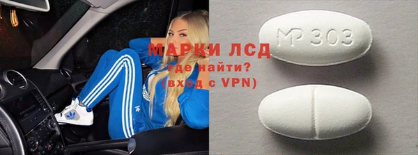 амф Гусев