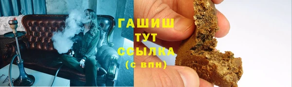 амф Гусев