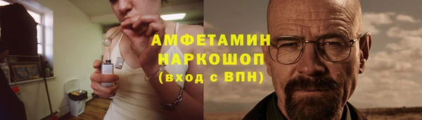 амф Гусев