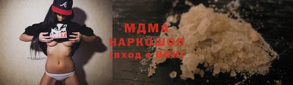 амф Гусев