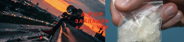амф Гусев