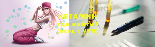 амф Гусев