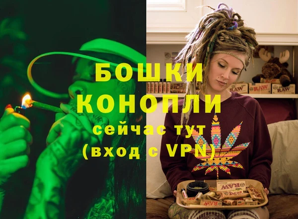 прущий лед Гусиноозёрск