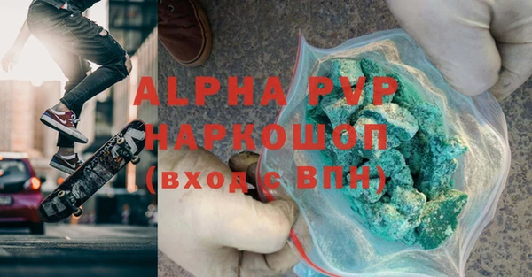 амф Гусев
