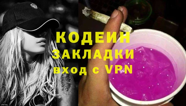 амф Гусев