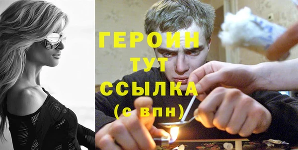 амф Гусев