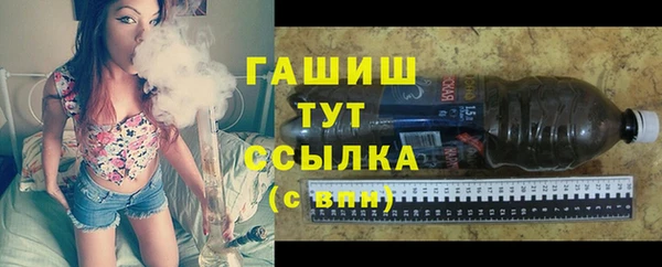 амф Гусев