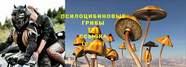 прущий лед Гусиноозёрск