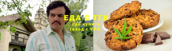 амф Гусев
