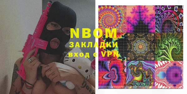 амф Гусев