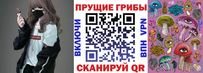 Галлюциногенные грибы ЛСД  МЕГА рабочий сайт  даркнет Telegram  Балашиха 